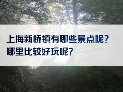 上海新桥镇有哪些景点呢？哪里比较好玩呢？