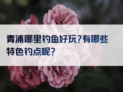 青浦哪里钓鱼好玩？有哪些特色钓点呢？