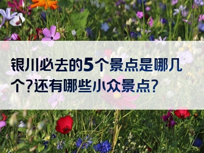 银川必去的5个景点是哪几个？还有哪些小众景点？