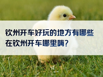 钦州开车好玩的地方有哪些在钦州开车哪里嗨？