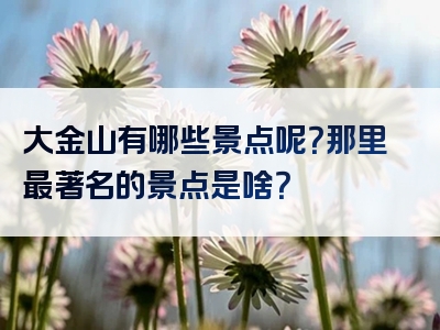 大金山有哪些景点呢？那里最著名的景点是啥？