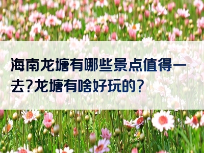 海南龙塘有哪些景点值得一去？龙塘有啥好玩的？