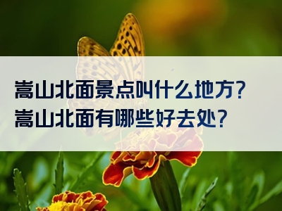 嵩山北面景点叫什么地方？嵩山北面有哪些好去处？