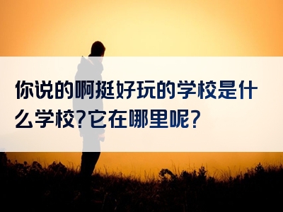 你说的啊挺好玩的学校是什么学校？它在哪里呢？