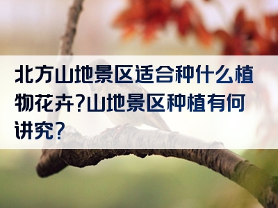 北方山地景区适合种什么植物花卉？山地景区种植有何讲究？
