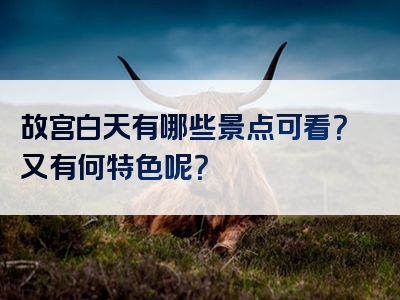 故宫白天有哪些景点可看？又有何特色呢？