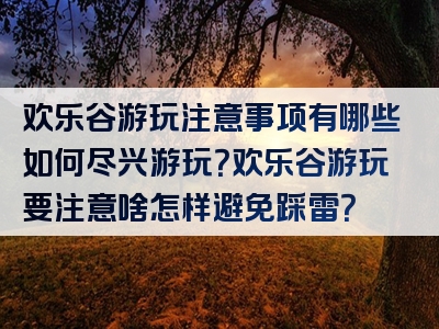 欢乐谷游玩注意事项有哪些如何尽兴游玩？欢乐谷游玩要注意啥怎样避免踩雷？