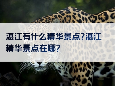 湛江有什么精华景点？湛江精华景点在哪？
