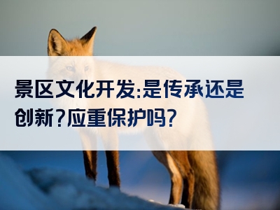 景区文化开发：是传承还是创新？应重保护吗？