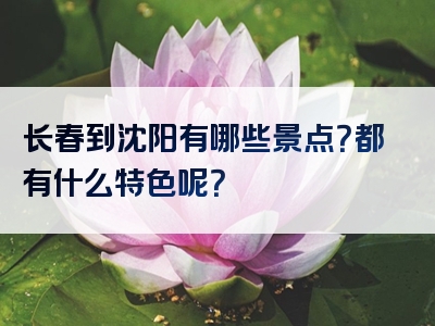 长春到沈阳有哪些景点？都有什么特色呢？
