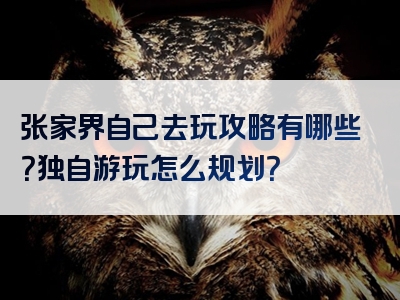 张家界自己去玩攻略有哪些？独自游玩怎么规划？