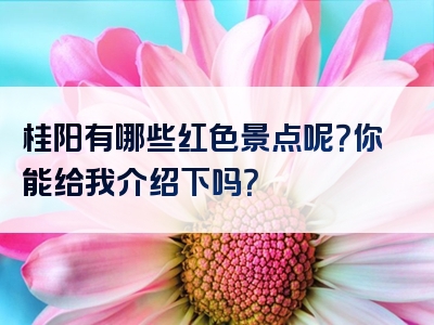 桂阳有哪些红色景点呢？你能给我介绍下吗？