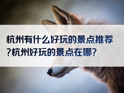 杭州有什么好玩的景点推荐？杭州好玩的景点在哪？