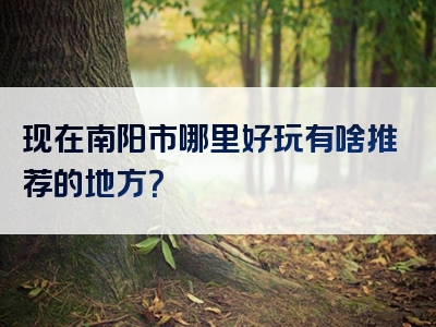 现在南阳市哪里好玩有啥推荐的地方？