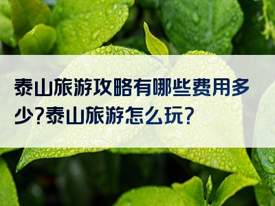 泰山旅游攻略有哪些费用多少？泰山旅游怎么玩？