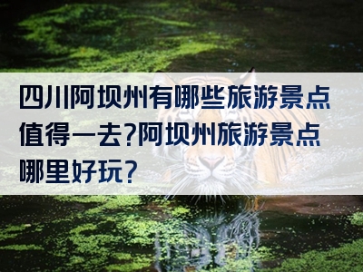 四川阿坝州有哪些旅游景点值得一去？阿坝州旅游景点哪里好玩？