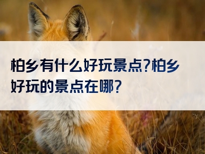 柏乡有什么好玩景点？柏乡好玩的景点在哪？