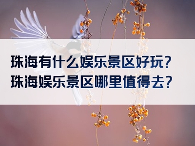 珠海有什么娱乐景区好玩？珠海娱乐景区哪里值得去？