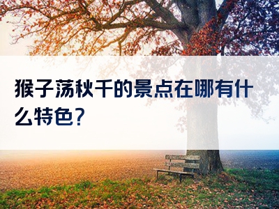 猴子荡秋千的景点在哪有什么特色？