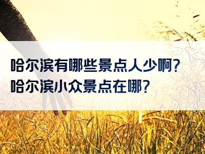 哈尔滨有哪些景点人少啊？哈尔滨小众景点在哪？