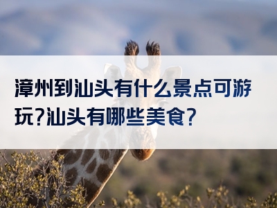 漳州到汕头有什么景点可游玩？汕头有哪些美食？