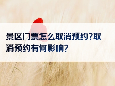 景区门票怎么取消预约？取消预约有何影响？