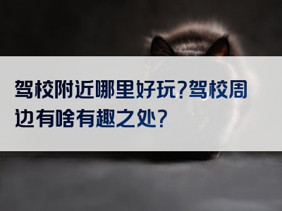 驾校附近哪里好玩？驾校周边有啥有趣之处？