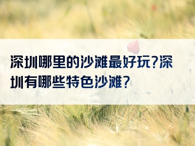 深圳哪里的沙滩最好玩？深圳有哪些特色沙滩？