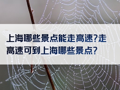上海哪些景点能走高速？走高速可到上海哪些景点？