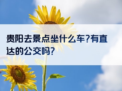 贵阳去景点坐什么车？有直达的公交吗？