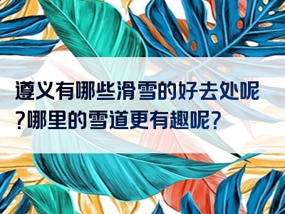 遵义有哪些滑雪的好去处呢？哪里的雪道更有趣呢？