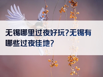 无锡哪里过夜好玩？无锡有哪些过夜佳地？