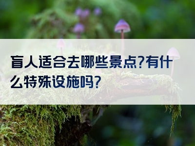 盲人适合去哪些景点？有什么特殊设施吗？