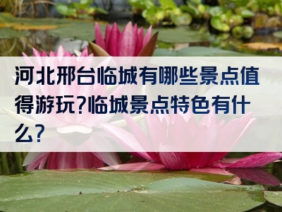 河北邢台临城有哪些景点值得游玩？临城景点特色有什么？