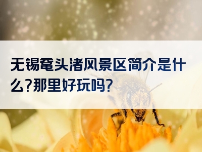 无锡鼋头渚风景区简介是什么？那里好玩吗？