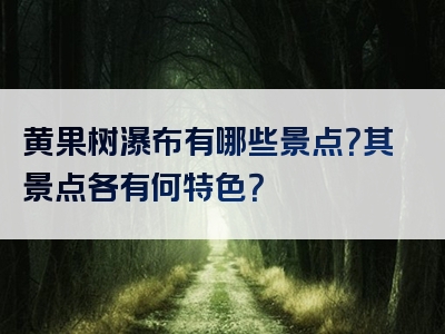 黄果树瀑布有哪些景点？其景点各有何特色？