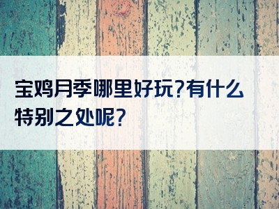 宝鸡月季哪里好玩？有什么特别之处呢？