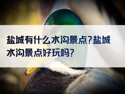 盐城有什么水沟景点？盐城水沟景点好玩吗？