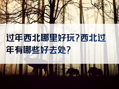 过年西北哪里好玩？西北过年有哪些好去处？