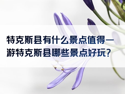 特克斯县有什么景点值得一游特克斯县哪些景点好玩？