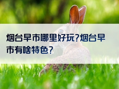 烟台早市哪里好玩？烟台早市有啥特色？