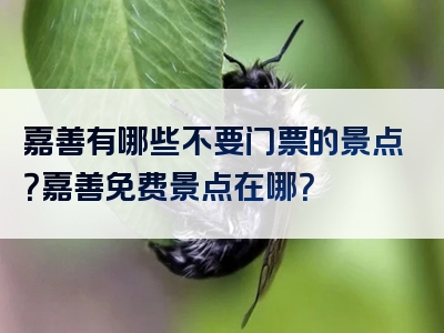 嘉善有哪些不要门票的景点？嘉善免费景点在哪？