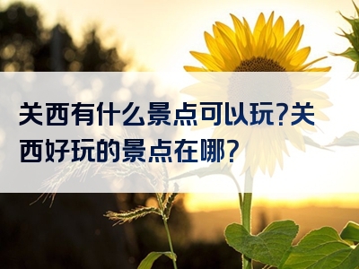 关西有什么景点可以玩？关西好玩的景点在哪？