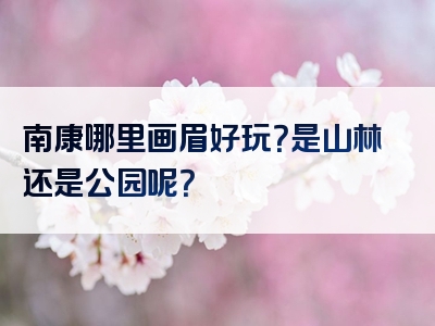 南康哪里画眉好玩？是山林还是公园呢？
