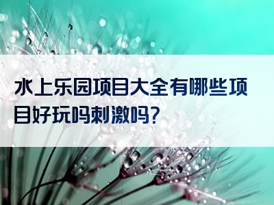 水上乐园项目大全有哪些项目好玩吗刺激吗？