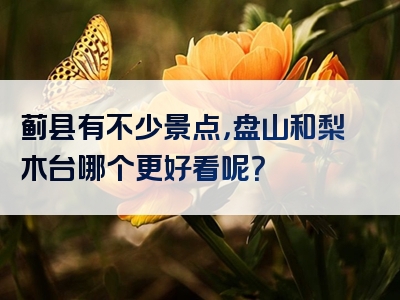 蓟县有不少景点，盘山和梨木台哪个更好看呢？