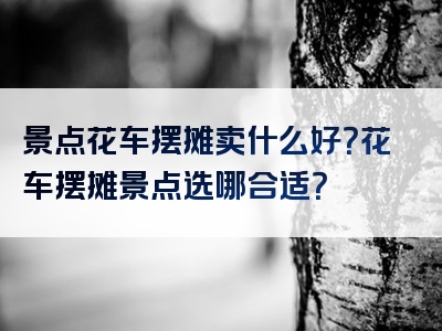景点花车摆摊卖什么好？花车摆摊景点选哪合适？