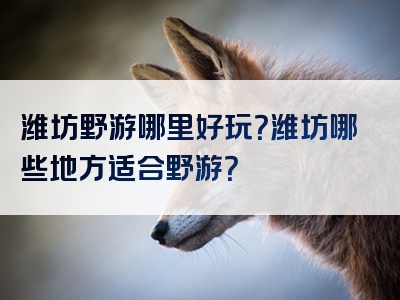 潍坊野游哪里好玩？潍坊哪些地方适合野游？