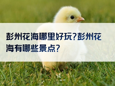 彭州花海哪里好玩？彭州花海有哪些景点？