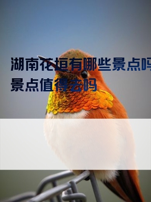 湖南花垣有哪些景点吗花垣景点值得去吗